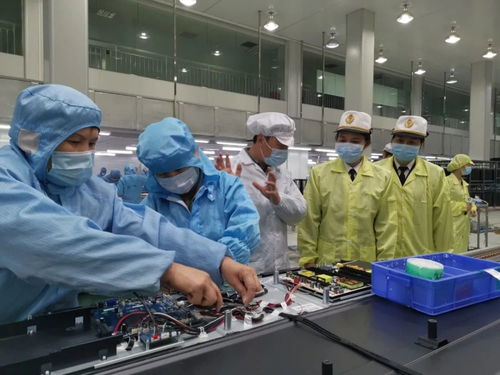 一季度江門外貿量質齊增 口岸營商環(huán)境優(yōu)化與新材料技術推廣服務激發(fā)新活力