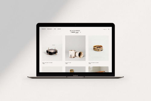 融合科技與自然的品牌美學(xué) 平面設(shè)計在室內(nèi)設(shè)計產(chǎn)品品牌形象與網(wǎng)絡(luò)技術(shù)開發(fā)中的創(chuàng)新實踐