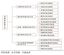 迪安診斷 基本概況、商業模式與產業生態分析